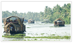 Baypride Houseboat & Resort